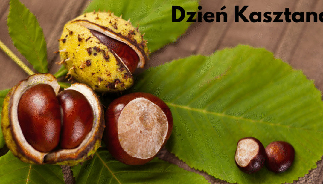 Dzień Kasztana w oddziale przedszkolnym