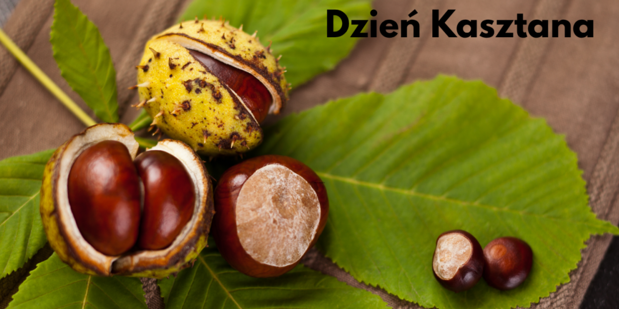 Dzień Kasztana w oddziale przedszkolnym